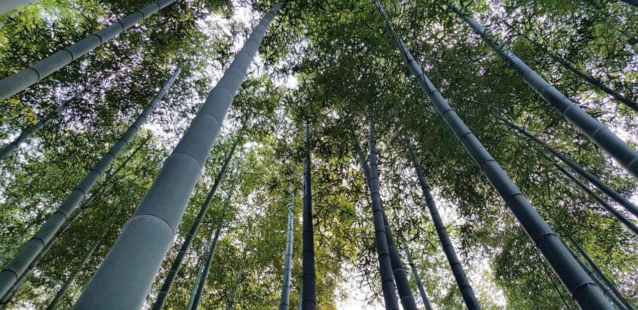 Moganshan Bamboo View Guesthouse Deqing Exterior photo